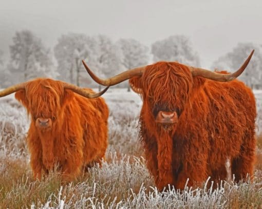 Highland Cows In The Snow - Paint By Numbers - NumPaint - Paint by numbers