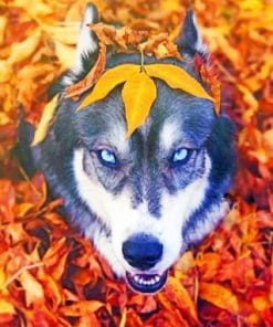 Husky In The Fall paint by numbers