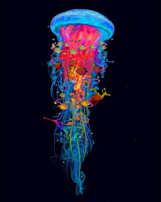 Jellyfish Paint by numbers