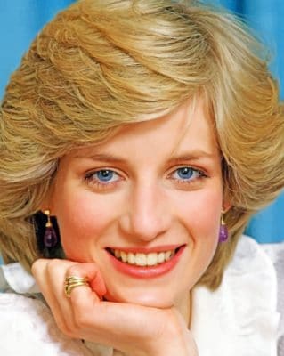 Lady Diana paint by numbers