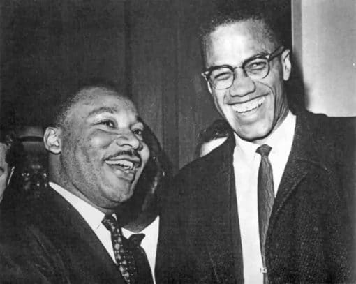 Martin Luther King And Malcolm X paint by numbers