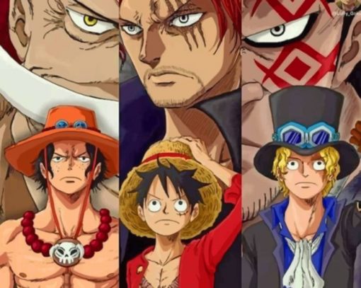 One Piece Paint by numbers