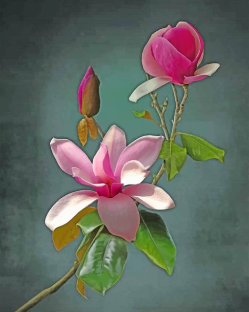 Pink Flower Paint by numbers