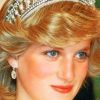 Princess Diana paint by numbers
