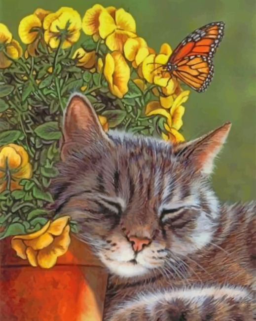 Sleepy Cat And Butterfly Paint by numbers