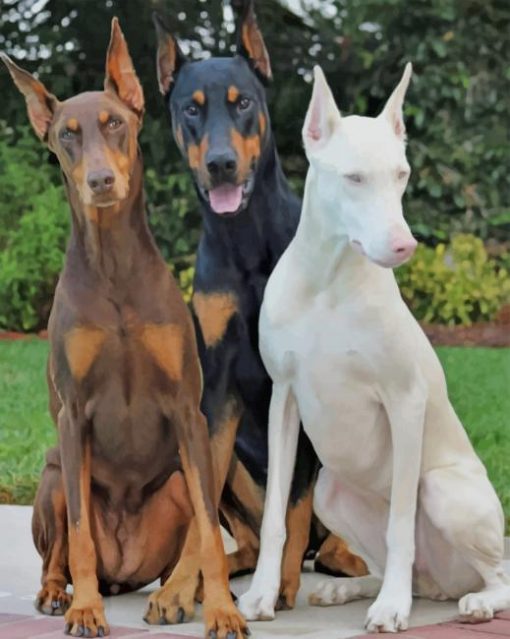 can a mucuchies and a doberman pinscher be friends