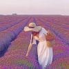 Woman In A Field Of Lavender Paint by numbers