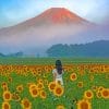 Woman In A Field Of Sunflowers Paint by numbers