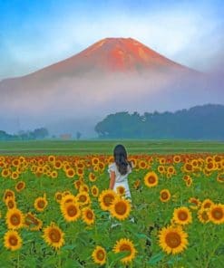 Woman In A Field Of Sunflowers Paint by numbers