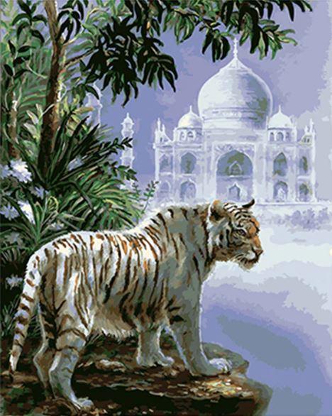 The Indian White Tiger Paint by numbers