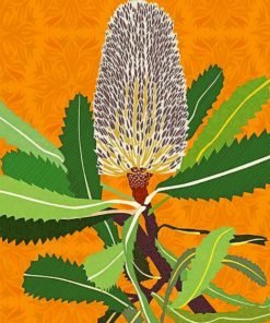 Banksias Native Australian Flower paint by numbers