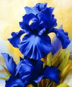 Blue Iris Paint by numbers
