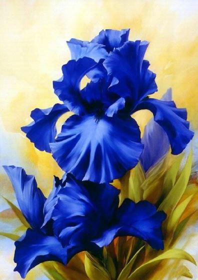 Blue Iris Paint by numbers