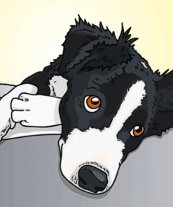 Border Collie Illustration Paint by numbers