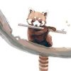 Cute Red Panda paint by numbers