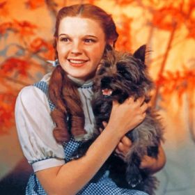 Dorothy Gale The Wizard Of Oz - Paint By Numbers - NumPaint - Paint by ...