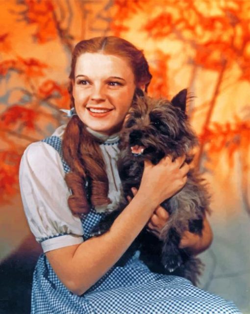 Dorothy Gale Paint by numbers