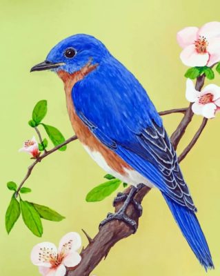 Eastern Bluebird On Branch Paint by numbers