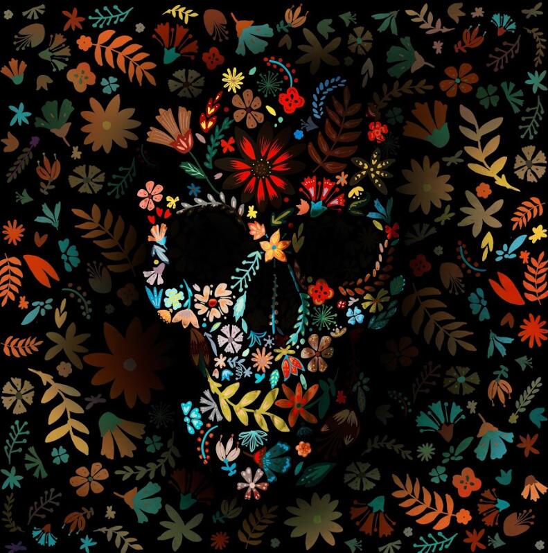 Flowerly Darkness Skull Paint by numbers