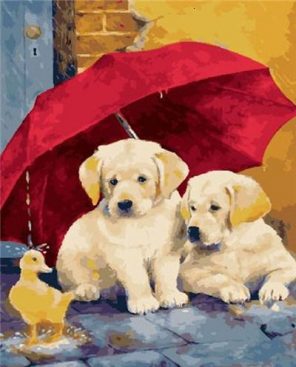 Dogs Under A Red Velvet Umbrella paint by numbers