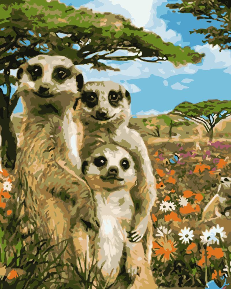 Meerkat Family Paint by numbers
