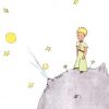 Little Prince on Mars Paint by numbers