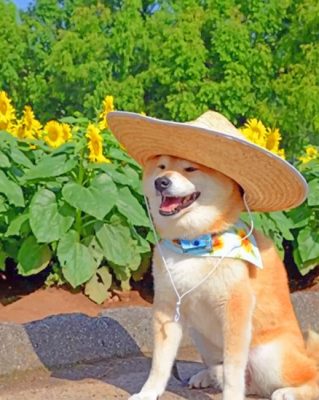 Shiba Inu  Piant by numbers