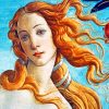 The Birth Of Venus Paint b y numbers
