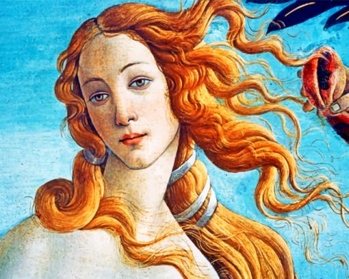 The Birth Of Venus Paint b y numbers