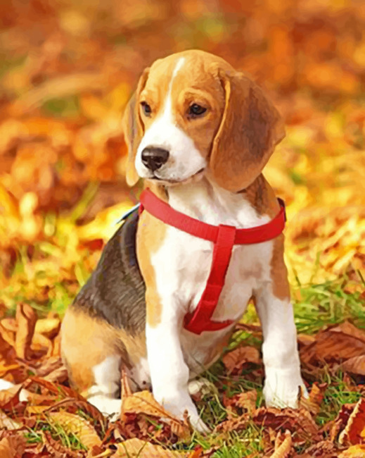 Aesthetic Beagle Puppy Paint by numbers