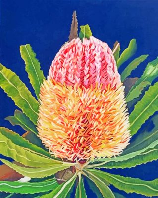 Banksias Flower Paint by numbers