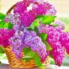 Aesthetic Basket Of Lilac Flowers Paint by numbers