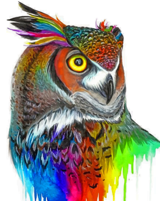 Aesthetic Colorful Owl paint by numbers