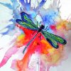 Aesthetic Dragonfly Paint by numbers