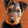 Airedale Terrier Puppy paint by numbers