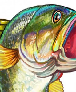 Aesthetic Bass Fish Paint by numbers