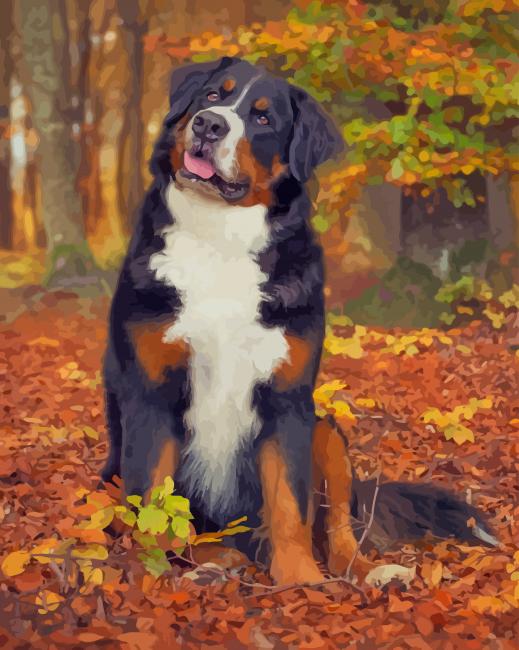 Bernese M Paint by numbersountain Dog Fall