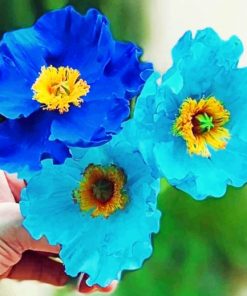 Blue And Cyan Poppy Flowers Paint by numbers
