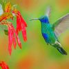 Blue And Green Hummingbird Paint by numbers