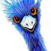 Blue Emu Bird paint by numbers