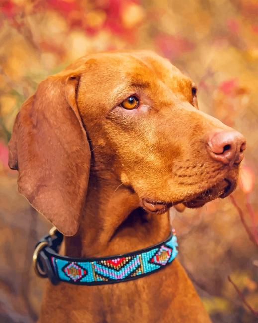 Brown Weimaraner Piant by numbers
