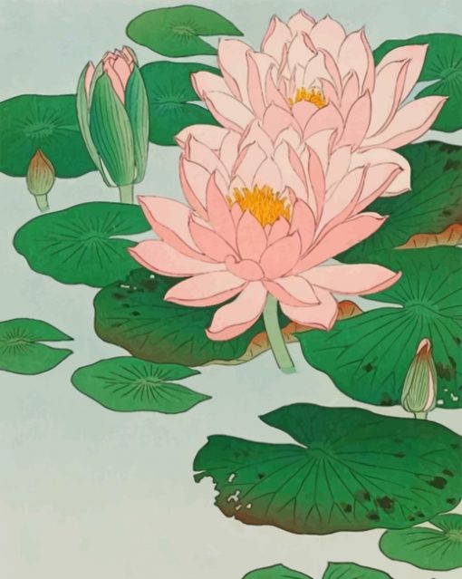 Lotus Flowers Paint by numbers