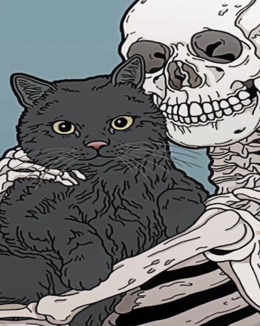 Cat And Skeleton - Paint By Numbers - Num Paint Kit