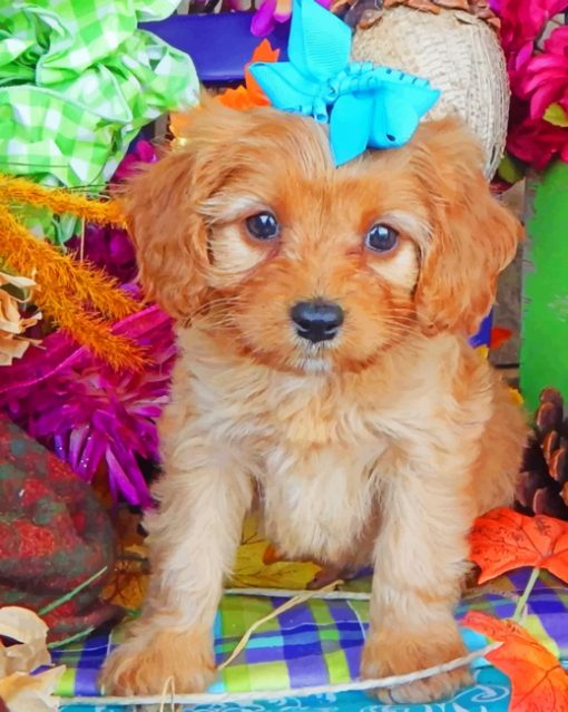 Cavapoo Puppy Paint by numbers