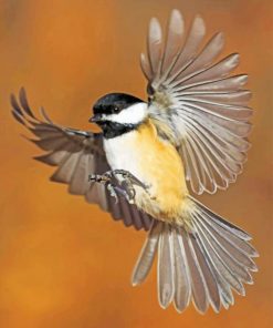 Chickadee Flying Bird Paint by numbers