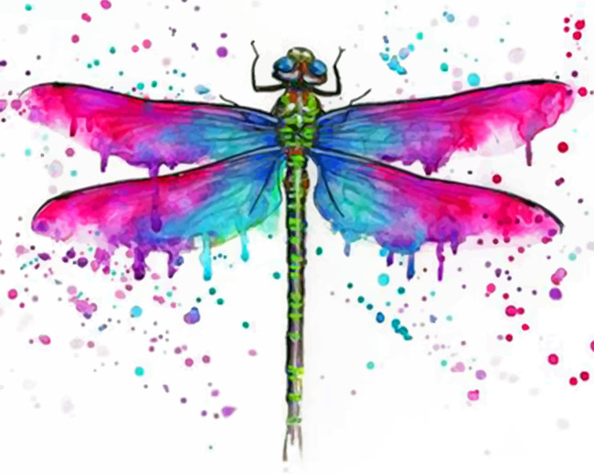 Colorful Dragonfly Paint by numbers