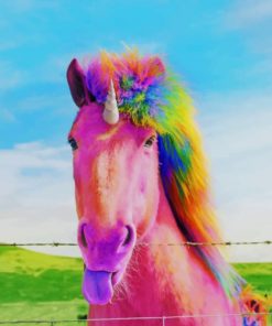 Rainbow Horse Paint by numbers