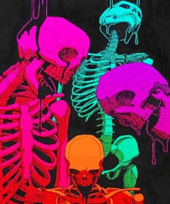 Colorful Skeletons Paint by numbers