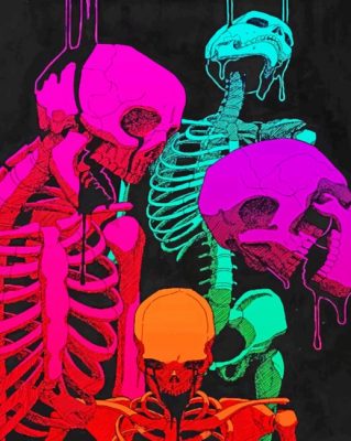 Colorful Skeletons  Paint by numbers