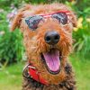 Cool Airedale Terrier paint by numbers